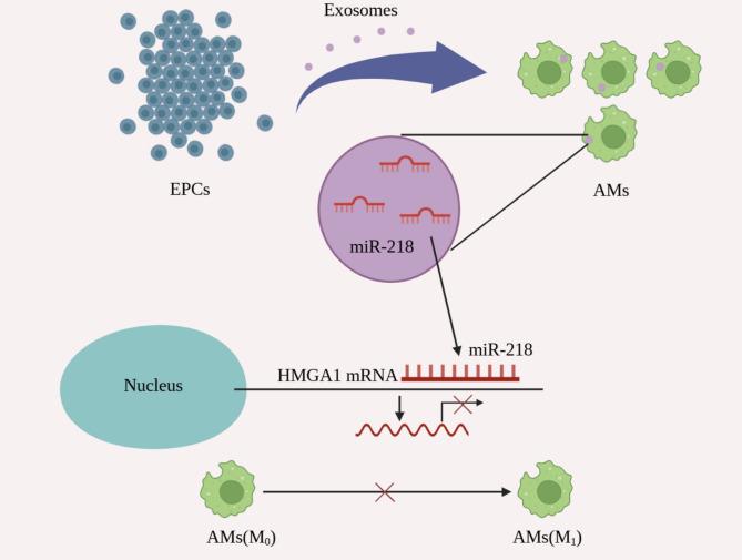 https://cdn.ncbi.nlm.nih.gov/pmc/blobs/2a58/12330018/f6d45d4f0f0d/13287_2025_4558_Fig10_HTML.jpg