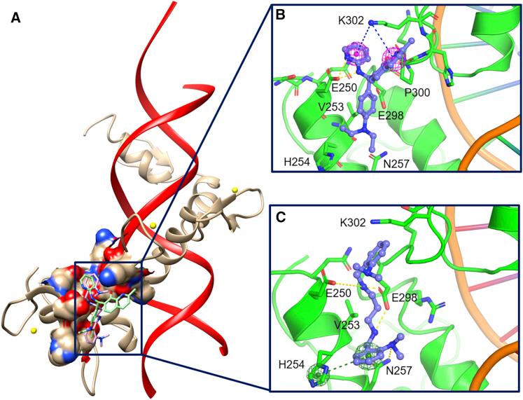 https://cdn.ncbi.nlm.nih.gov/pmc/blobs/2a58/7873571/cf074a7b42f0/gr3.jpg