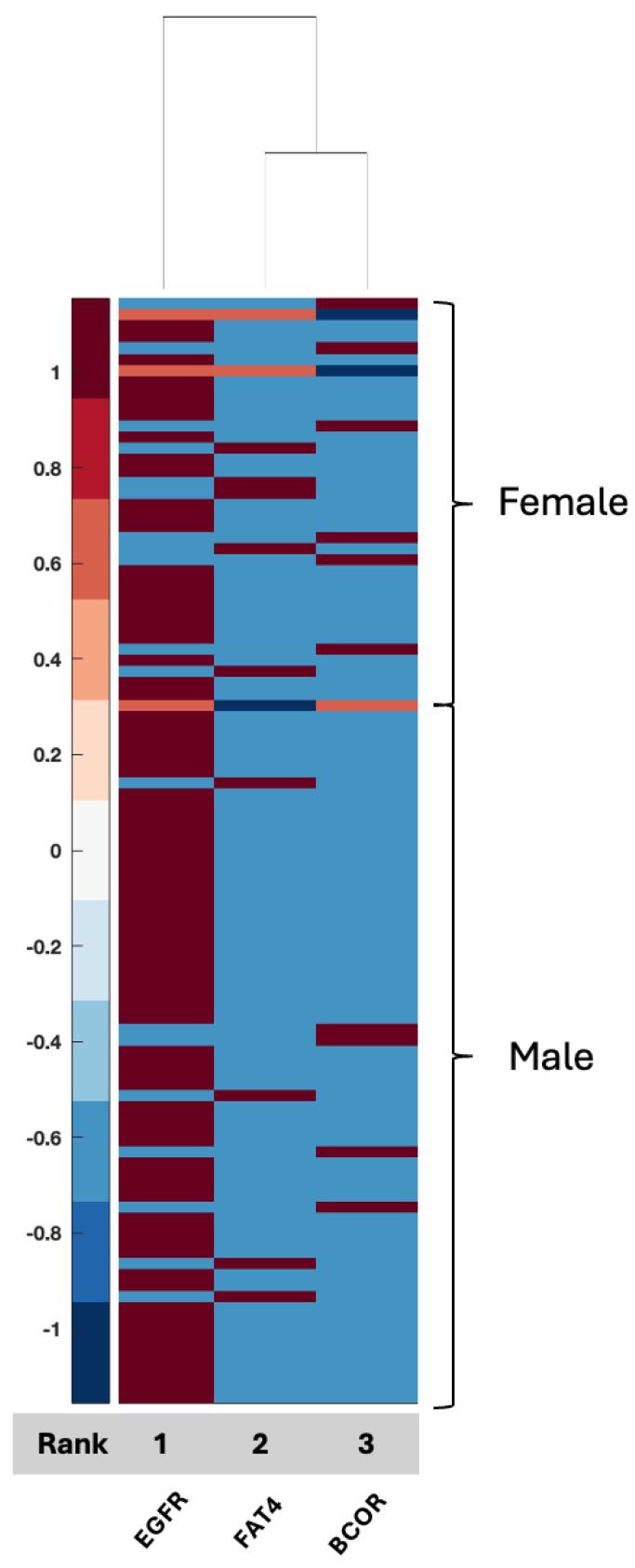https://cdn.ncbi.nlm.nih.gov/pmc/blobs/2a5a/12072282/e8f19075819b/ijms-26-04339-g005.jpg