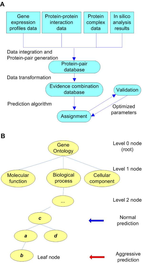 https://cdn.ncbi.nlm.nih.gov/pmc/blobs/2a5d/1481625/10e2b31cde7f/1471-2105-7-268-1.jpg