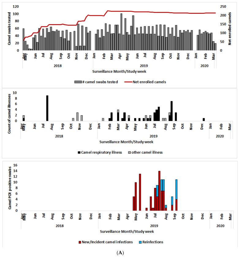 https://cdn.ncbi.nlm.nih.gov/pmc/blobs/2a5d/9413448/98aa9f9b603b/viruses-14-01743-g002a.jpg