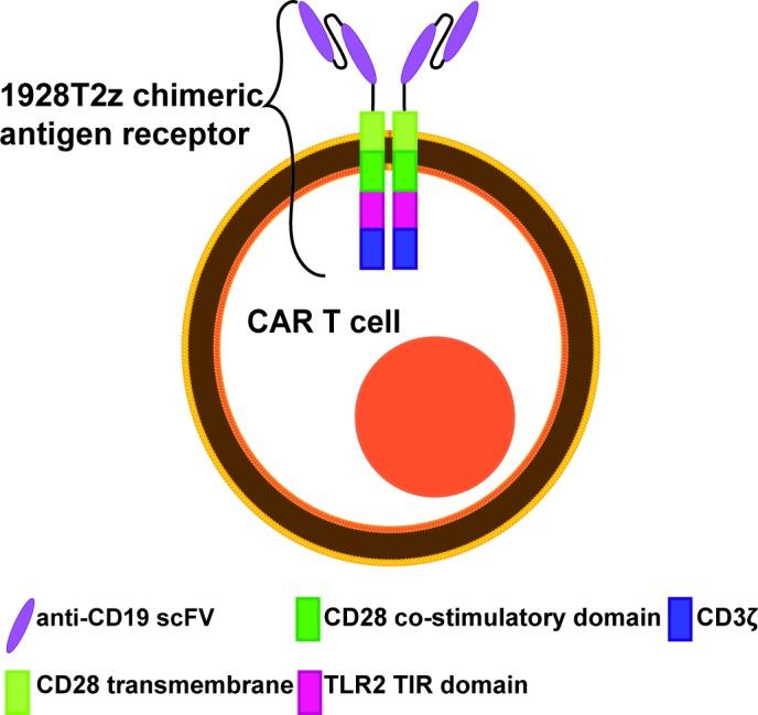 https://cdn.ncbi.nlm.nih.gov/pmc/blobs/2a5e/7044946/f4bafd7ce183/bmjopen-2019-034629f01.jpg