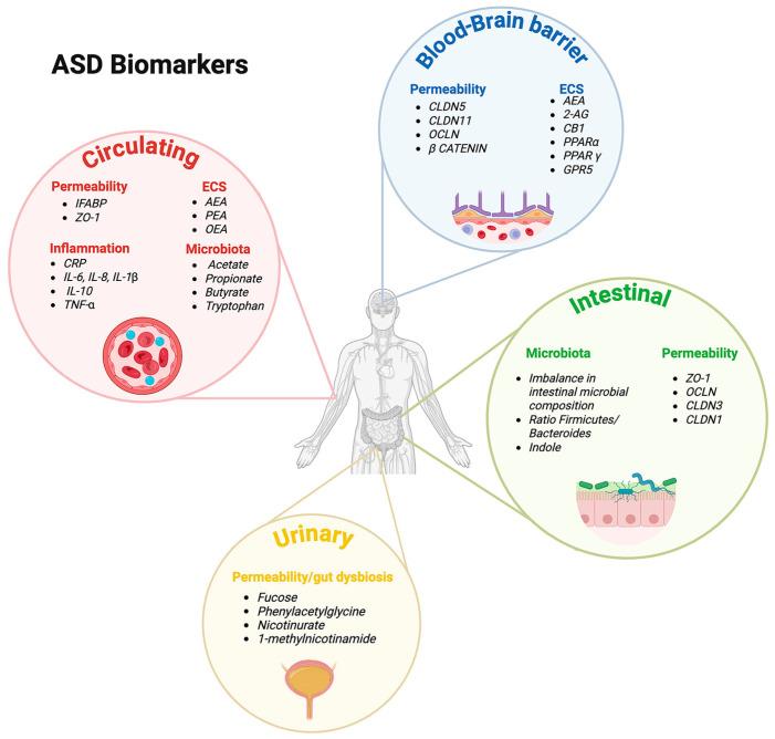 https://cdn.ncbi.nlm.nih.gov/pmc/blobs/2a5f/12348446/8056d182db4d/nutrients-17-02470-g002.jpg