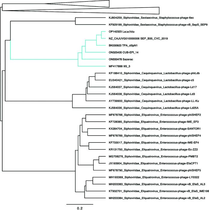https://cdn.ncbi.nlm.nih.gov/pmc/blobs/2a61/10286716/9b539222e497/msphere.00524-22-f002.jpg
