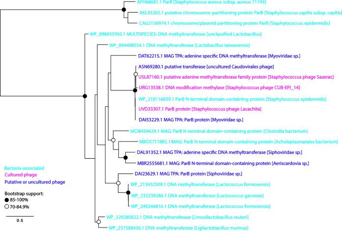 https://cdn.ncbi.nlm.nih.gov/pmc/blobs/2a61/10286716/ed29c7a24a8c/msphere.00524-22-f004.jpg