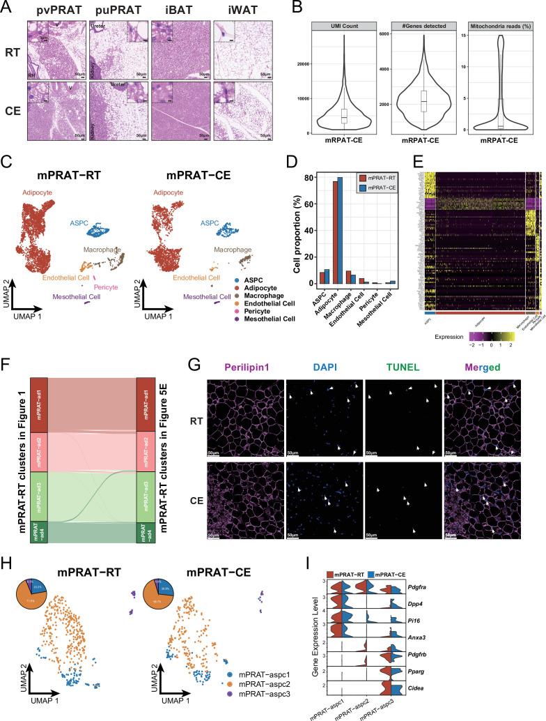 https://cdn.ncbi.nlm.nih.gov/pmc/blobs/2a62/10932542/2a428d770309/elife-93151-fig5-figsupp1.jpg