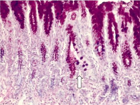 https://cdn.ncbi.nlm.nih.gov/pmc/blobs/2a62/3234614/ccf6f877aa51/tox-23-115-g004.jpg