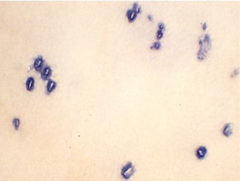 https://cdn.ncbi.nlm.nih.gov/pmc/blobs/2a62/3234614/d9b26230b5fb/tox-23-115-g005.jpg