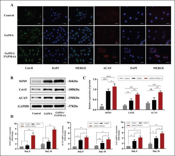 https://cdn.ncbi.nlm.nih.gov/pmc/blobs/2a64/10339440/4467405591f6/IJB-9-5-754-g005.jpg