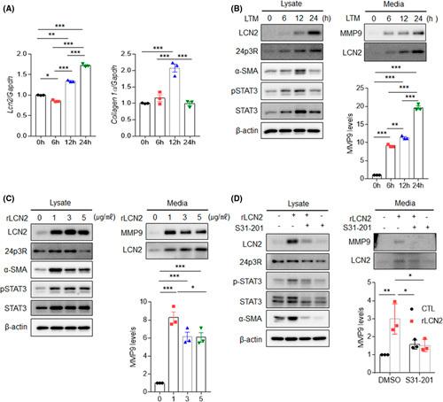 https://cdn.ncbi.nlm.nih.gov/pmc/blobs/2a67/9936980/82c289b98423/hep-77-0888-g008.jpg