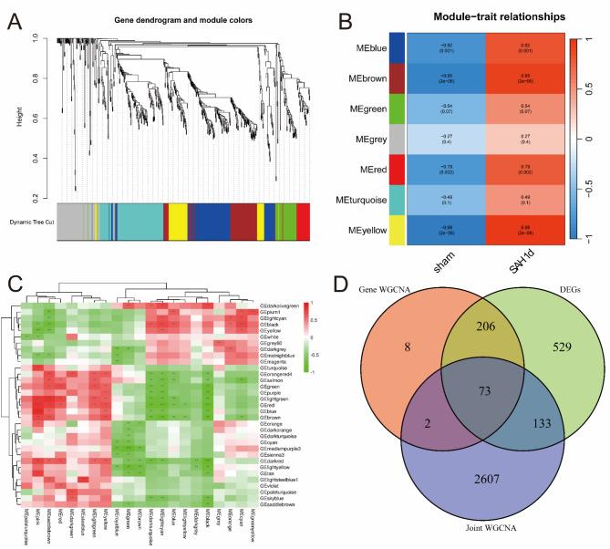 https://cdn.ncbi.nlm.nih.gov/pmc/blobs/2a68/12022295/66e1c1d271ff/41598_2025_98754_Fig1_HTML.jpg