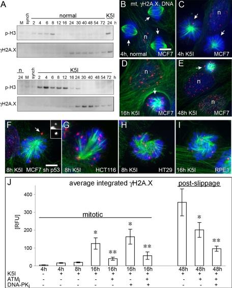 https://cdn.ncbi.nlm.nih.gov/pmc/blobs/2a68/3279386/56d9f5262542/567fig2.jpg