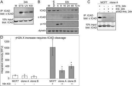 https://cdn.ncbi.nlm.nih.gov/pmc/blobs/2a68/3279386/bf12fd5cf4ed/567fig5.jpg