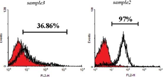 https://cdn.ncbi.nlm.nih.gov/pmc/blobs/2a6a/5337764/b1ce6634de3f/IJMS-42-40-g002.jpg