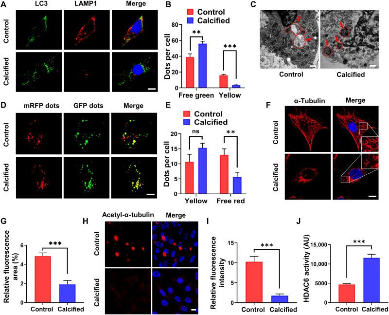 https://cdn.ncbi.nlm.nih.gov/pmc/blobs/2a6c/9094669/0e441e8128c0/sciadv.abn1556-f7.jpg