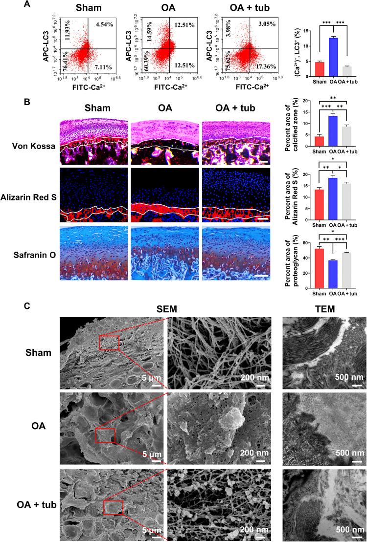 https://cdn.ncbi.nlm.nih.gov/pmc/blobs/2a6c/9094669/97d7dcc28116/sciadv.abn1556-f8.jpg