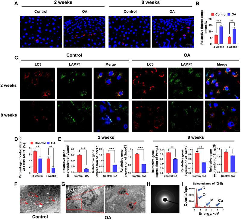 https://cdn.ncbi.nlm.nih.gov/pmc/blobs/2a6c/9094669/b1cd58909ab4/sciadv.abn1556-f3.jpg