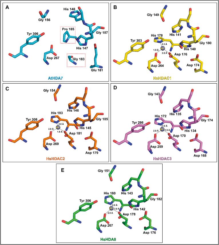 https://cdn.ncbi.nlm.nih.gov/pmc/blobs/2a6d/10920125/5369d74d35df/gr6.jpg
