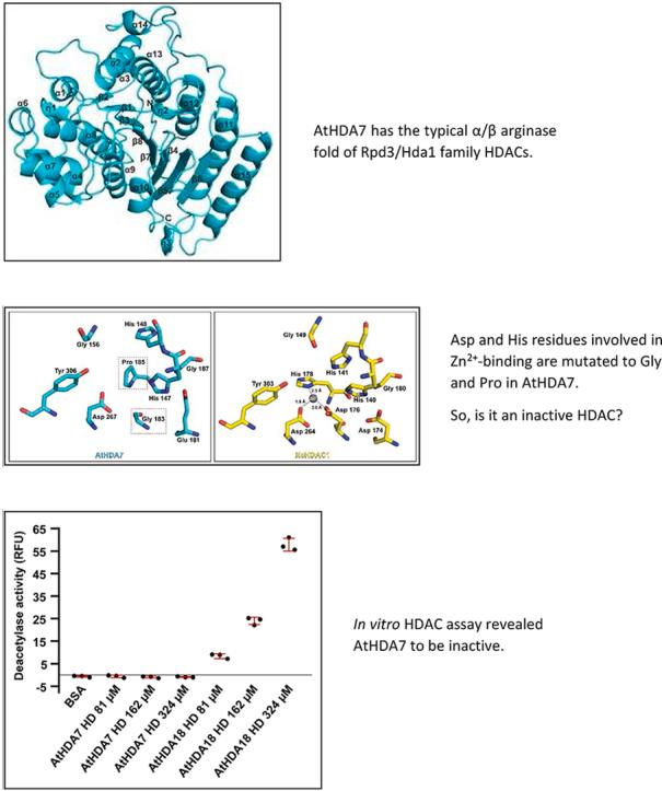 https://cdn.ncbi.nlm.nih.gov/pmc/blobs/2a6d/10920125/8f8a3d11fa9a/ga1.jpg