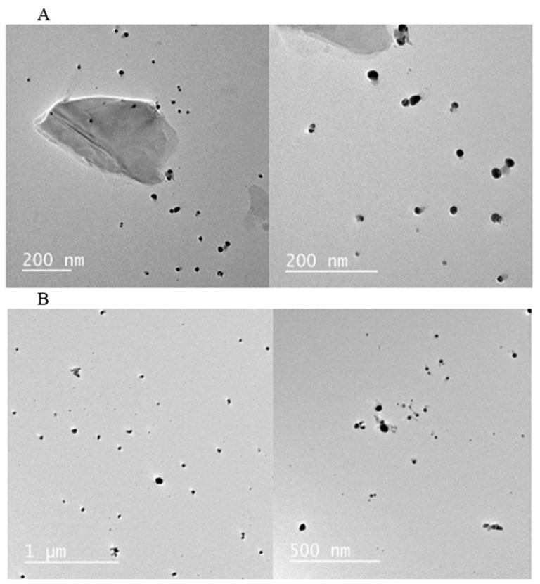 https://cdn.ncbi.nlm.nih.gov/pmc/blobs/2a6e/12388924/2b5e5d32f5af/pharmaceuticals-18-01120-g002.jpg