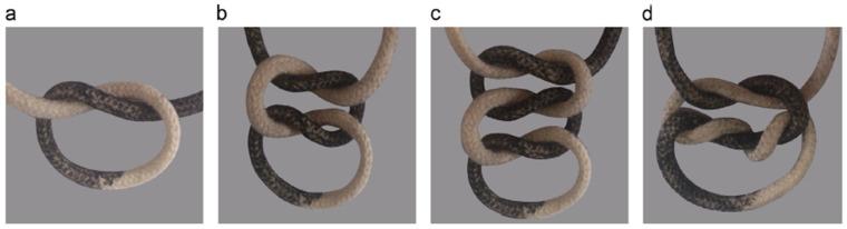 https://cdn.ncbi.nlm.nih.gov/pmc/blobs/2a6f/10672932/47b747ad5825/materials-16-07245-g005.jpg