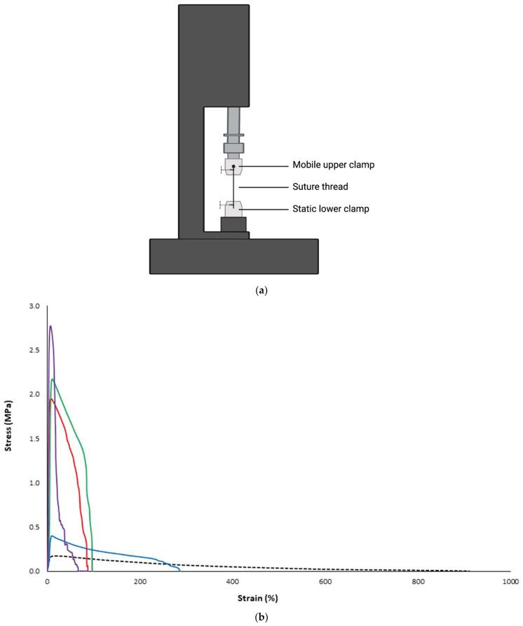 https://cdn.ncbi.nlm.nih.gov/pmc/blobs/2a6f/10672932/fca76aff2b0c/materials-16-07245-g004.jpg