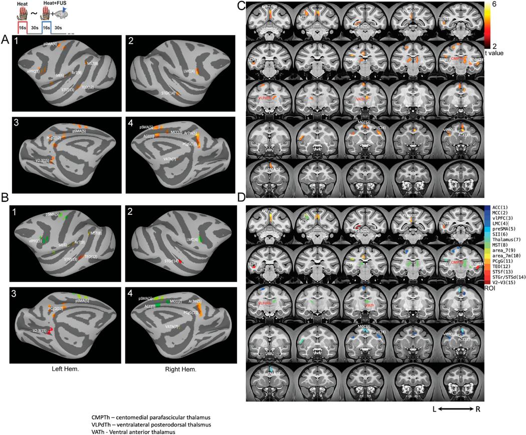 https://cdn.ncbi.nlm.nih.gov/pmc/blobs/2a6f/10702144/0c2f1dfea1aa/nihms-1941408-f0004.jpg