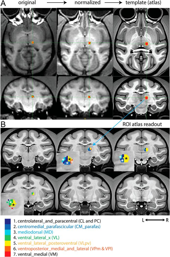 https://cdn.ncbi.nlm.nih.gov/pmc/blobs/2a6f/10702144/c37b33e48081/nihms-1941408-f0002.jpg