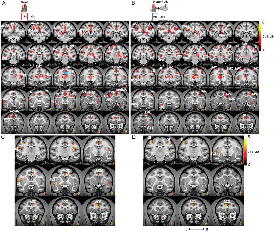 https://cdn.ncbi.nlm.nih.gov/pmc/blobs/2a6f/10702144/c4805541065f/nihms-1941408-f0003.jpg
