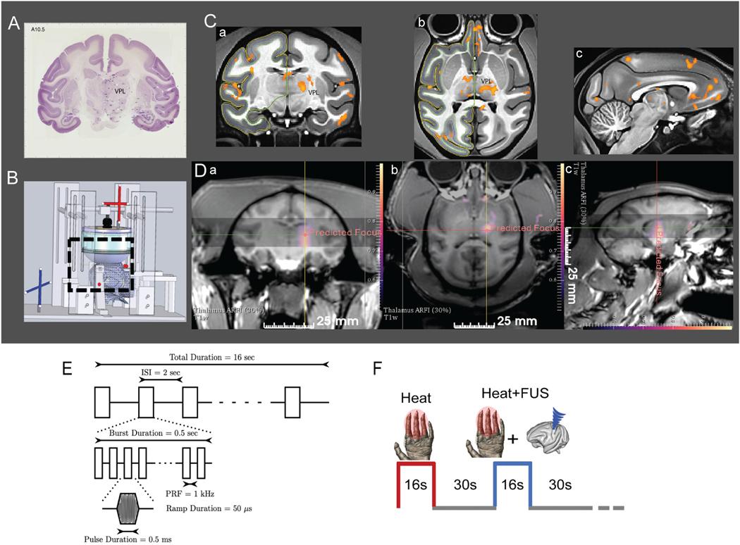 https://cdn.ncbi.nlm.nih.gov/pmc/blobs/2a6f/10702144/ccea23cdb658/nihms-1941408-f0001.jpg
