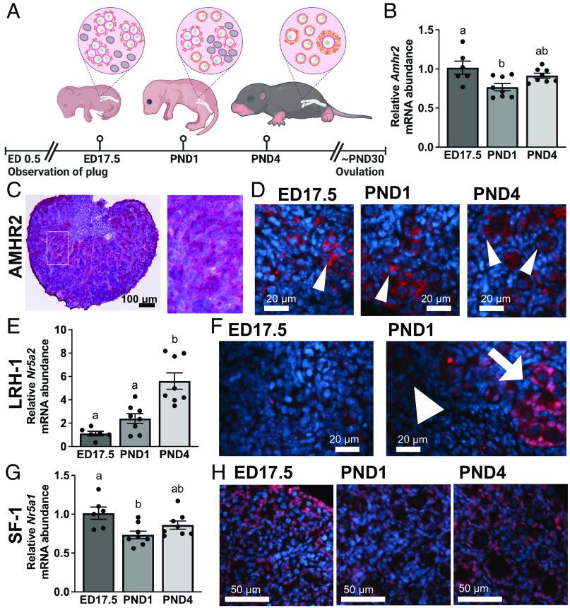 https://cdn.ncbi.nlm.nih.gov/pmc/blobs/2a70/10410717/113b57c4adc3/pnas.2220849120fig01.jpg