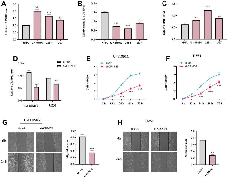 https://cdn.ncbi.nlm.nih.gov/pmc/blobs/2a70/10683586/80e2efc7bde3/aging-15-205180-g010.jpg