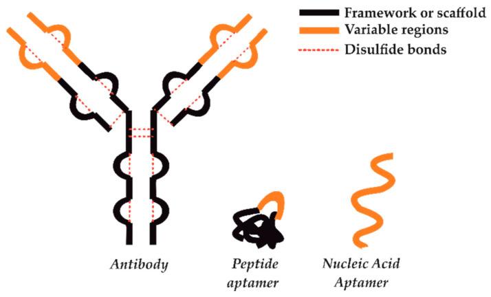 https://cdn.ncbi.nlm.nih.gov/pmc/blobs/2a70/7866209/23d3b9bcda86/sensors-21-00724-g001.jpg