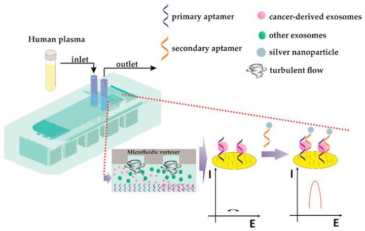 https://cdn.ncbi.nlm.nih.gov/pmc/blobs/2a70/7866209/60c854bd63e1/sensors-21-00724-g015.jpg