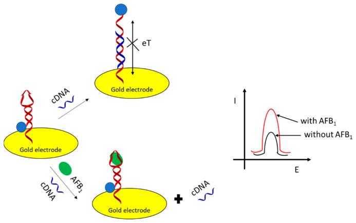 https://cdn.ncbi.nlm.nih.gov/pmc/blobs/2a70/7866209/8db2c1ca4fee/sensors-21-00724-g012.jpg
