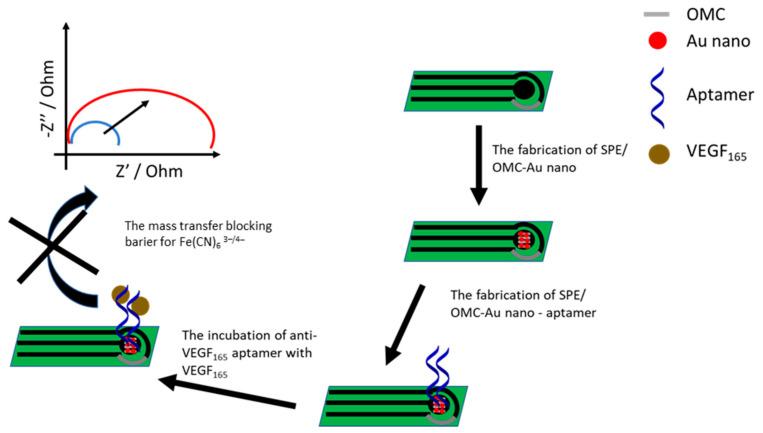 https://cdn.ncbi.nlm.nih.gov/pmc/blobs/2a70/7866209/fca4f44d47b5/sensors-21-00724-g010.jpg