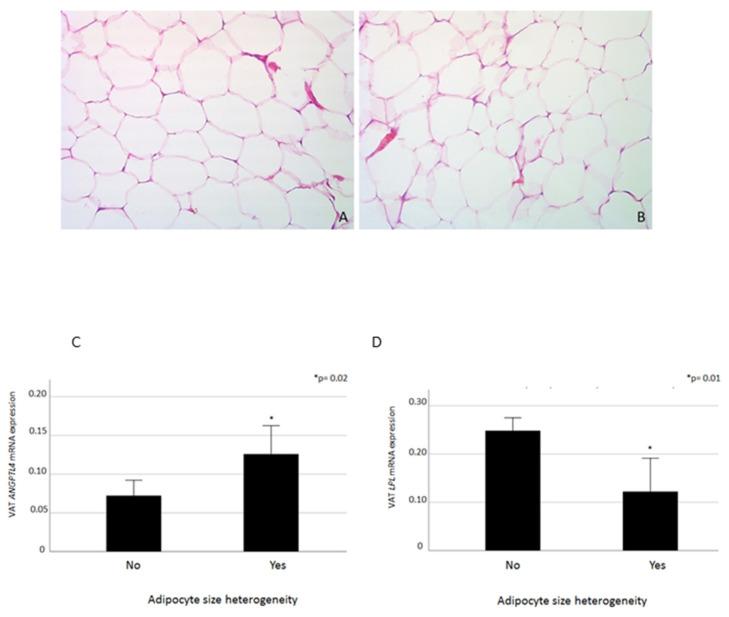 https://cdn.ncbi.nlm.nih.gov/pmc/blobs/2a71/7582588/7bf9df78af15/ijms-21-07197-g004.jpg