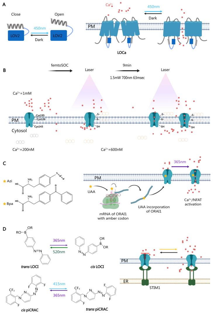 https://cdn.ncbi.nlm.nih.gov/pmc/blobs/2a72/11048467/2ce331a64e4e/biomolecules-14-00417-g002.jpg