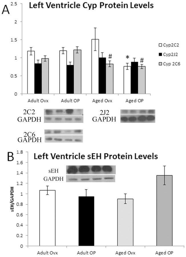 https://cdn.ncbi.nlm.nih.gov/pmc/blobs/2a72/3742755/28758ba1b0ad/pone.0070719.g005.jpg