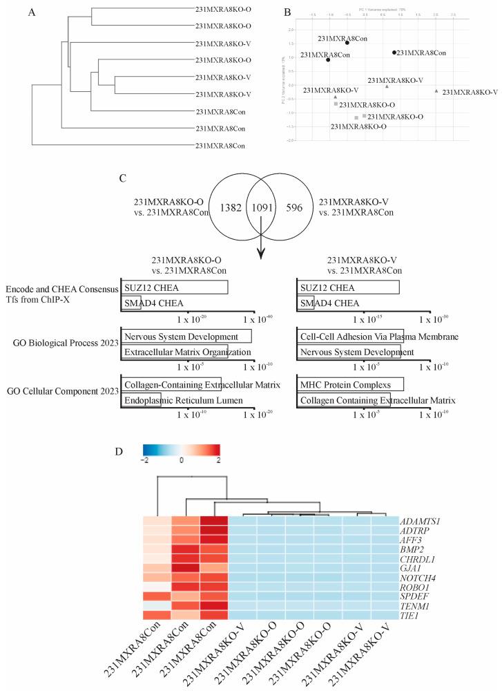 https://cdn.ncbi.nlm.nih.gov/pmc/blobs/2a73/10530983/cb6794a138dd/ijms-24-13730-g004.jpg