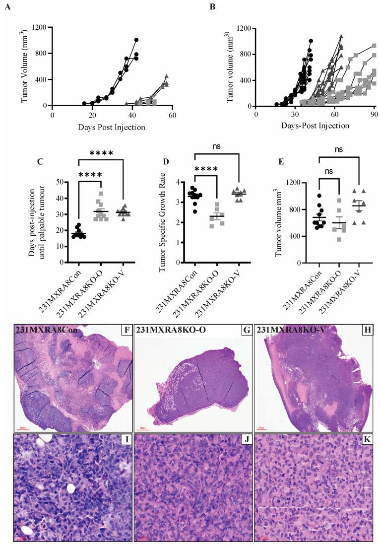 https://cdn.ncbi.nlm.nih.gov/pmc/blobs/2a73/10530983/f67b8be39cd7/ijms-24-13730-g002.jpg