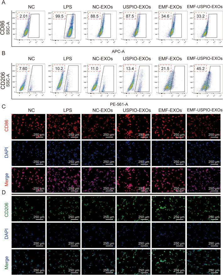 https://cdn.ncbi.nlm.nih.gov/pmc/blobs/2a74/10903078/5ce3e0d95d8e/12951_2024_2324_Fig4_HTML.jpg