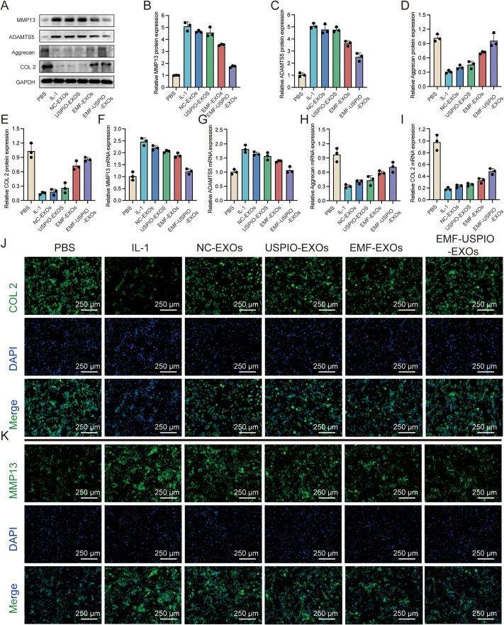 https://cdn.ncbi.nlm.nih.gov/pmc/blobs/2a74/10903078/8ab718637337/12951_2024_2324_Fig3_HTML.jpg