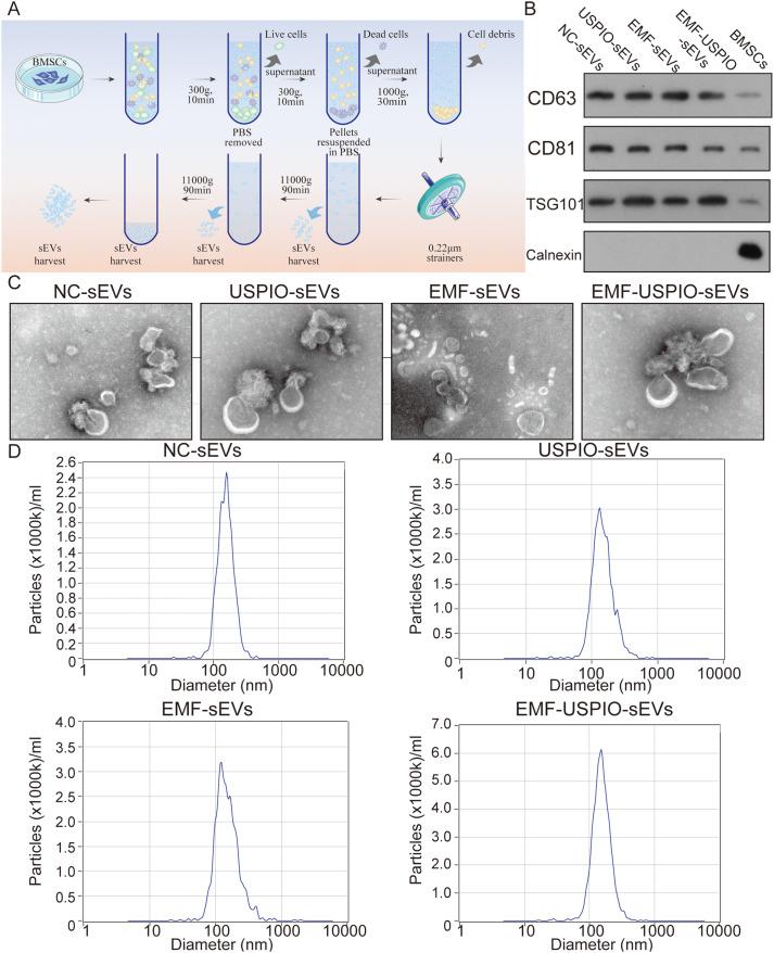 https://cdn.ncbi.nlm.nih.gov/pmc/blobs/2a74/10903078/fbdeb9d61072/12951_2024_2324_Fig2_HTML.jpg