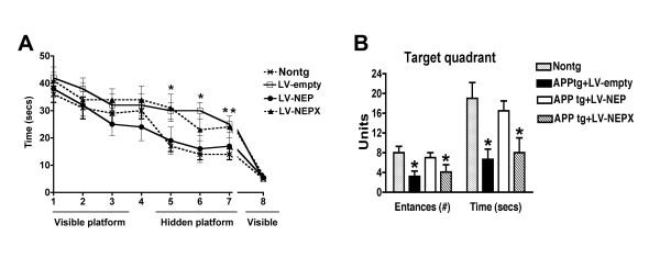 https://cdn.ncbi.nlm.nih.gov/pmc/blobs/2a7a/2596170/3546d3728e88/1471-2202-9-109-5.jpg