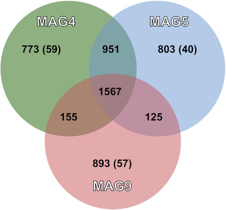 https://cdn.ncbi.nlm.nih.gov/pmc/blobs/2a7f/10117432/0aab879c7577/xtaa008fig3.jpg