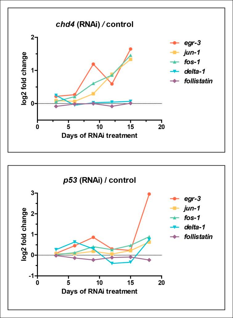 https://cdn.ncbi.nlm.nih.gov/pmc/blobs/2a7f/4716842/3b93de98f84b/elife-10501-fig7-figsupp1.jpg