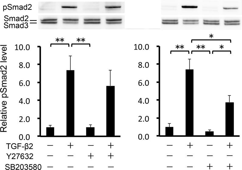 https://cdn.ncbi.nlm.nih.gov/pmc/blobs/2a80/4370581/573b0ec8931b/pone.0120774.g004.jpg