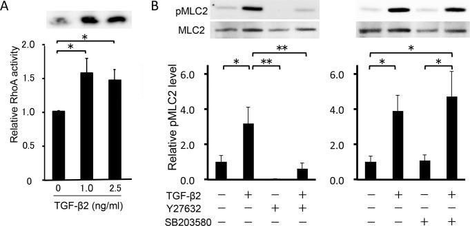 https://cdn.ncbi.nlm.nih.gov/pmc/blobs/2a80/4370581/63bf339a6a06/pone.0120774.g001.jpg