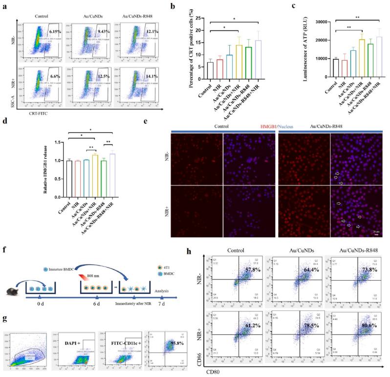 https://cdn.ncbi.nlm.nih.gov/pmc/blobs/2a82/11179173/02f3c686639c/gr5.jpg
